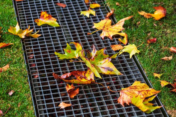 Clogged Yard Drain Removal