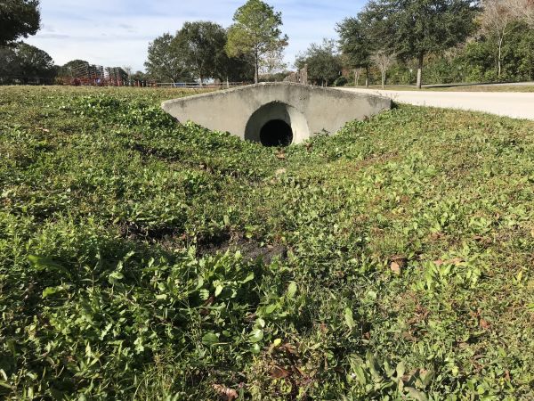 Cost of Swale Drainage Service in Loveland